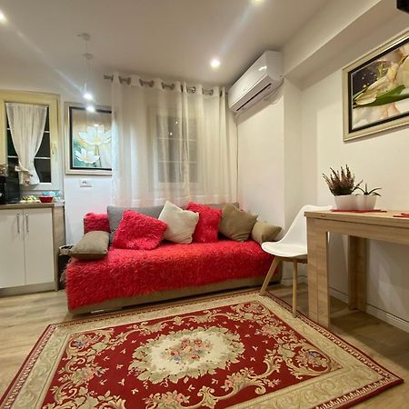 Central Welcoming Apartment In Tirana Eksteriør billede