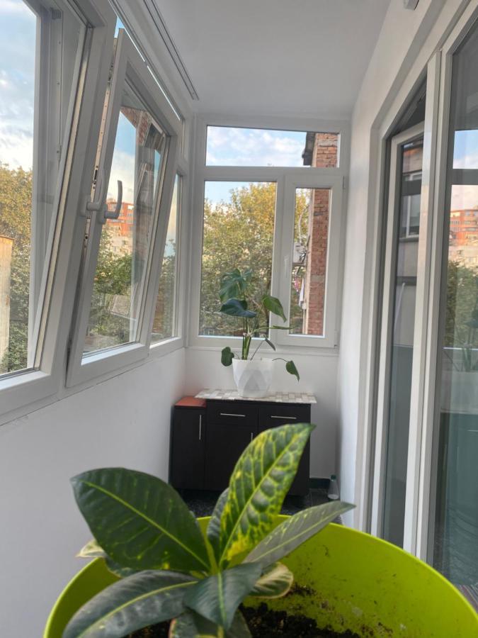 Central Welcoming Apartment In Tirana Eksteriør billede