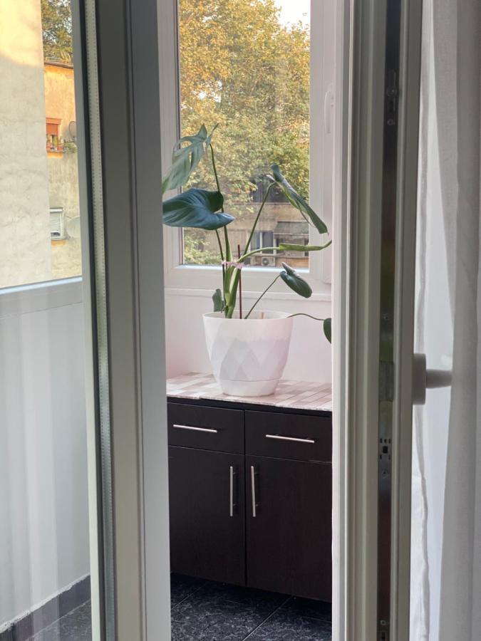 Central Welcoming Apartment In Tirana Eksteriør billede