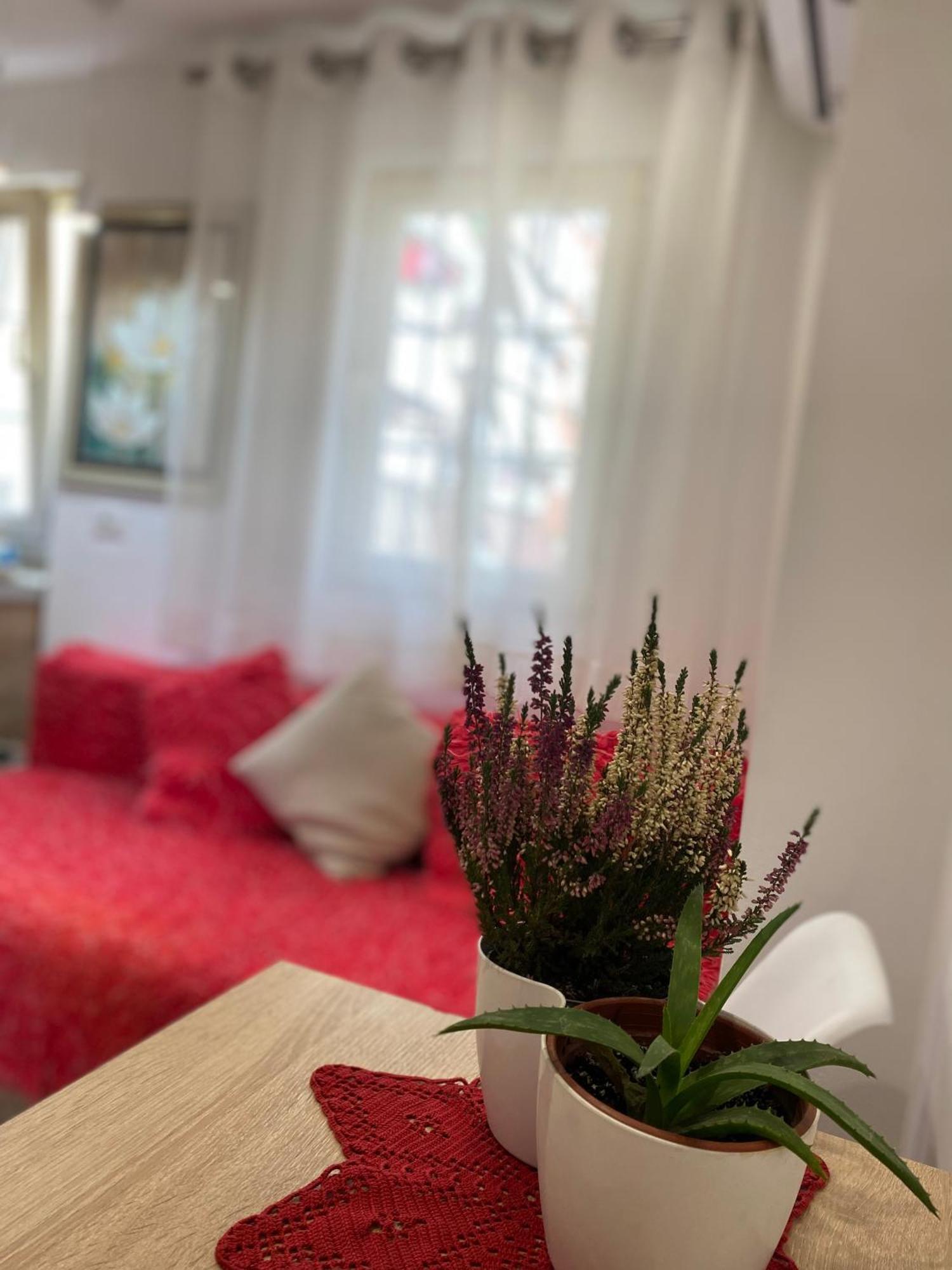 Central Welcoming Apartment In Tirana Eksteriør billede